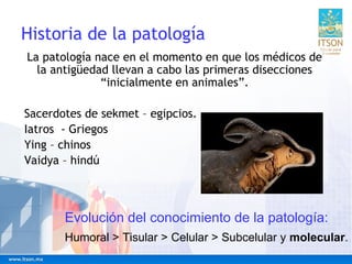 Historia de la patología
La patología nace en el momento en que los médicos de
la antigüedad llevan a cabo las primeras di...