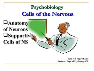 PsychobiologyPsychobiology
Cells of the NervousCells of the Nervous
Syed Md. Sajjad KabirSyed Md. Sajjad Kabir
Lecturer, Dept. of Psychology, CULecturer, Dept. of Psychology, CU
AnatomyAnatomy
of Neuronsof Neurons
SupportiveSupportive
Cells of NSCells of NS
 