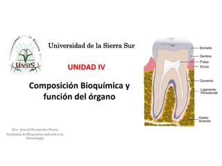 Dra. Araceli Hernández Flores
Academia de Bioquímica aplicada a la
Odontología
UNIDAD IV
Composición Bioquímica y
función del órgano
Universidad de la Sierra Sur
 