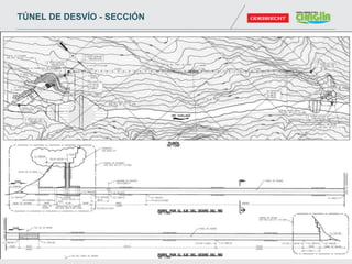 TÚNEL DE DESVÍO - SECCIÓN
 