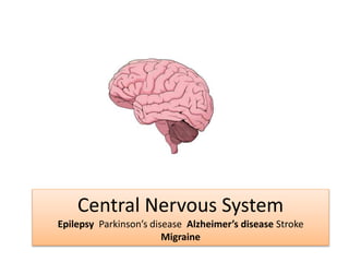 Central Nervous System
Epilepsy Parkinson’s disease Alzheimer’s disease Stroke
Migraine
 