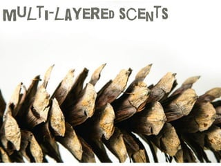 Multi-layered scents
 