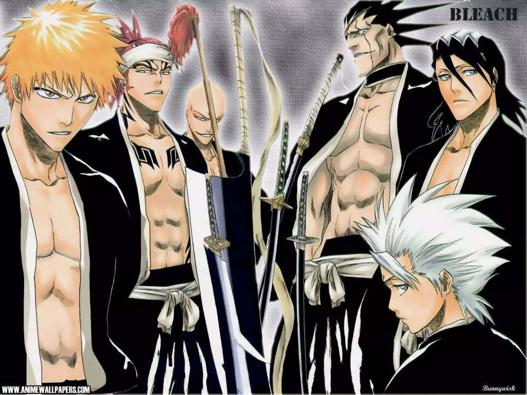 Bleach Presentation | PPT