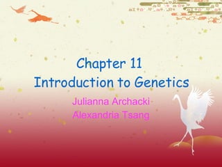 Chapter 11  Introduction to Genetics Julianna Archacki Alexandria Tsang 