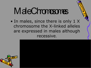 Male Chromosomes In males, since there is only 1 X chromosome the X-linked alleles are expressed in males although recessive .