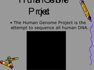 Human Genome Project The Human Genome Project is the attempt to sequence all human DNA.