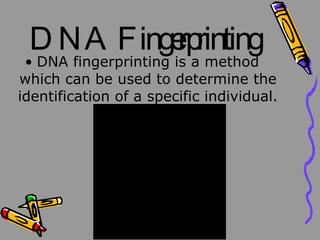 DNA Fingerprinting DNA fingerprinting is a method which can be used to determine the identification of a specific individual.