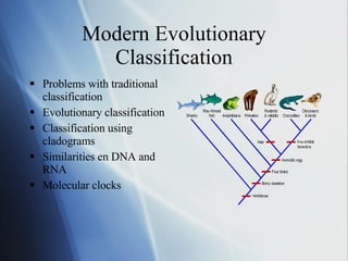 Modern Evolutionary Classification Problems with traditional classification Evolutionary classification Classification using cladograms Similarities en DNA and RNA Molecular clocks
