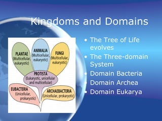 Kingdoms and Domains The Tree of Life evolves The Three-domain System Domain Bacteria Domain Archea Domain Eukarya