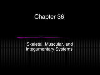 Chapter 36 Skeletal, Muscular, and Integumentary Systems 