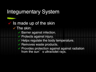 Integumentary System Is made up of the skin The skin: Barrier against infection. Protects against injury. Helps regulate the body temperature. Removes waste products. Provides protection against against radiation from the sun’s ultraviolet rays. 