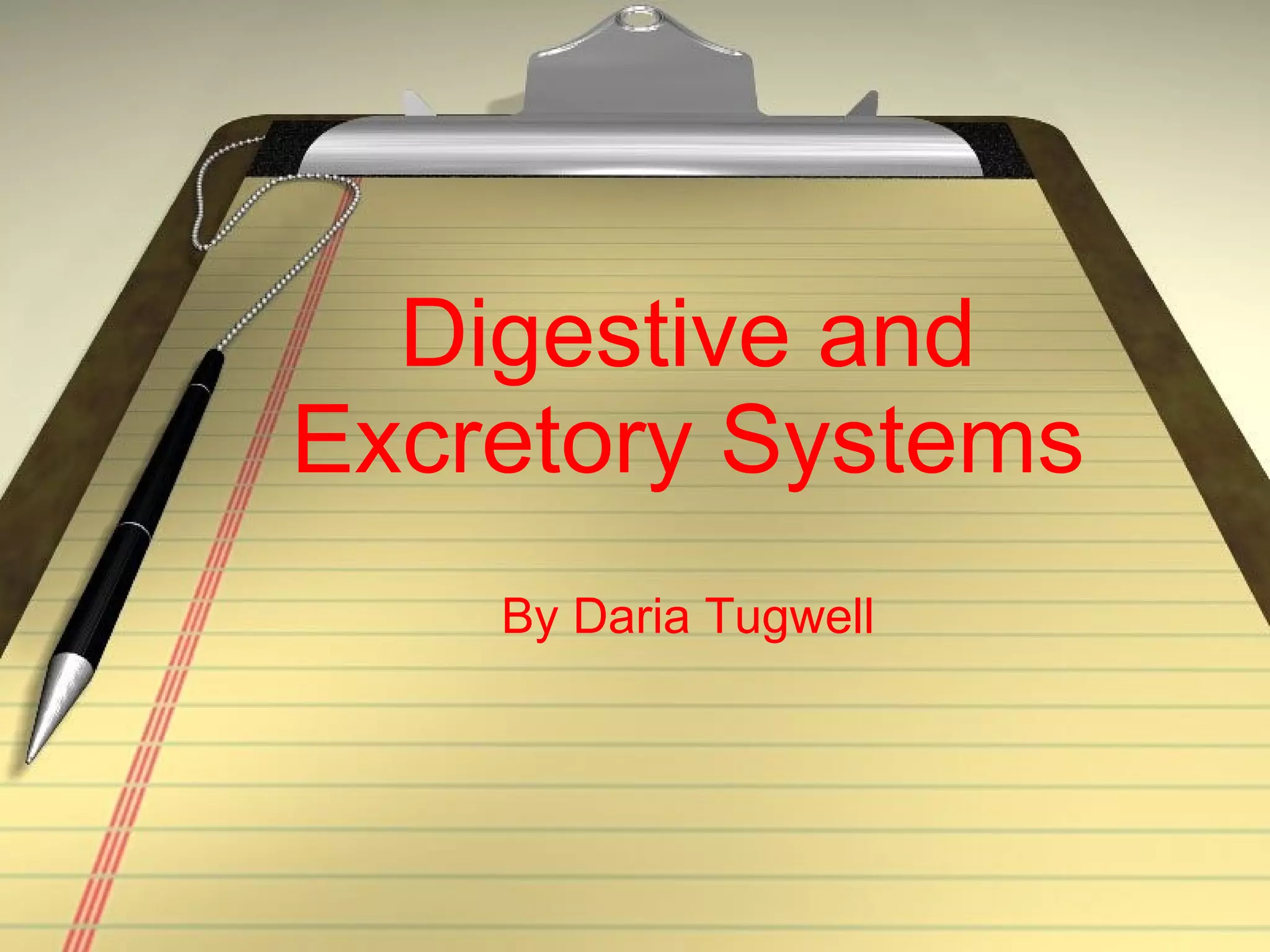 Digestive and Excretory Systems By Daria Tugwell