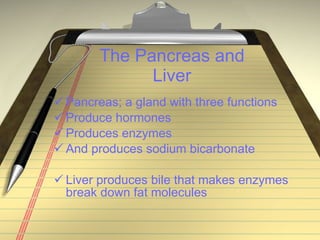 The Pancreas and Liver Pancreas; a gland with three functions Produce hormones Produces enzymes And produces sodium bicarbonate Liver produces bile that makes enzymes break down fat molecules