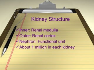 Kidney Structure Inner: Renal medulla Outer: Renal cortex Nephron: Functional unit About 1 million in each kidney