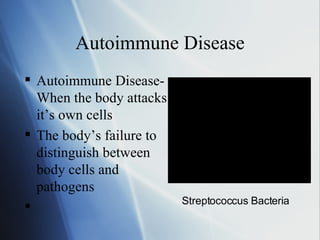 Autoimmune Disease Autoimmune Disease- When the body attacks it’s own cells The body’s failure to distinguish between body cells and pathogens Streptococcus Bacteria 