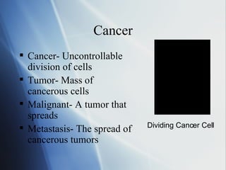 Cancer Cancer- Uncontrollable division of cells Tumor- Mass of cancerous cells Malignant- A tumor that spreads Metastasis- The spread of cancerous tumors Dividing Cancer Cell 