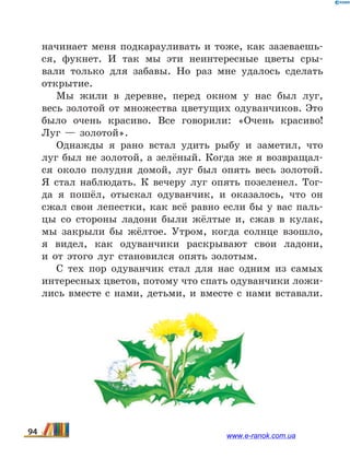 начинает меня подкарауливать и тоже, как зазеваешь-
ся, фукнет. И так мы эти неинтересные цветы сры-
вали только для забавы. Но раз мне удалось сделать
открытие.
Мы жили в деревне, перед окном у нас был луг,
весь золотой от множества цветущих одуванчиков. Это
было очень красиво. Все говорили: «Очень красиво!
Луг — золотой».
Однажды я рано встал удить рыбу и заметил, что
луг был не золотой, а зелёный. Когда же я возвращал-
ся около полудня домой, луг был опять весь золотой.
Я стал наблюдать. К вечеру луг опять позеленел. Тог-
да я пошёл, отыскал одуванчик, и оказалось, что он
сжал свои лепестки, как всё равно если бы у вас паль-
цы со стороны ладони были жёлтые и, сжав в кулак,
мы закрыли бы жёлтое. Утром, когда солнце взошло,
я видел, как одуванчики раскрывают свои ладони,
и  от этого луг становился опять золотым.
С тех пор одуванчик стал для нас одним из самых
интересных цветов, потому что спать одуванчики ложи-
лись вместе с нами, детьми, и вместе с нами вставали.
94 www.e-ranok.com.ua
 