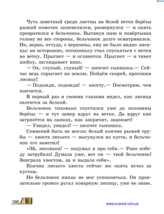 Чуть заметный среди листвы на белой ветке берёзы
рыжий комочек зашевелился, развернулся — и опять
превратился в бельчонка. Вытянув шею и повёртывая
голову во все стороны, бельчонок долго осматривался.
Но, верно, оттуда, с вершины, ему не было видно лиси-
цы: он осторожно, потихоньку стал спускаться с ветки
на ветку. Прыгнет — и оглянется. Прыгнет — и тянет
шейку, заглядывает вниз.
— Ох, глупый, глупый!  — шепчет сынишка.— Сей-
час ведь спрыгнет на землю. Пойдём скорей, прогоним
лисицу!
— Подожди, подожди!  — шепчу.— Посмотрим, чем
кончится.
В первый раз я своими глазами видел, как лисица
охотится за белкой.
Бельчонок тихонько спустился уже до половины
берёзы — и тут замер вдруг на ветке. Да вдруг как
затрясётся на лапках, как закричит, зацокает!
— Увидел, увидел!  — шепчет сынишка.
Сомнений быть не могло: белый кончик рыжей тру-
бы — хвоста лисьего — высунулся из куста, и бельчо-
нок его заметил!
«Эй, лисонька!  — подумал я про себя.— Рано побе-
ду затрубила! Думала уже, вот он — твой бельчонок!
Заиграла хвостом, да и выдала себя».
Кончик лисьего хвоста сейчас же опять исчез за
кустом.
Но бельчонок никак не мог успокоиться. Он прон-
зительно громко ругал коварную лисицу, уже не знаю,
100 www.e-ranok.com.ua
 