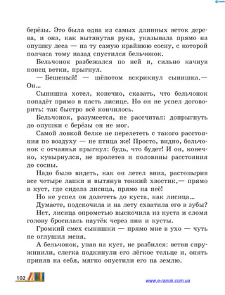 берёзы. Это была одна из самых длинных веток дере-
ва, и она, как вытянутая рука, указывала прямо на
опушку леса — на ту самую крайнюю сосну, с которой
полчаса тому назад спустился бельчонок.
Бельчонок разбежался по ней и, сильно качнув
конец ветки, прыгнул.
— Бешеный!  — шёпотом вскрикнул сынишка.—
Он…
Сынишка хотел, конечно, сказать, что бельчонок
попадёт прямо в пасть лисице. Но он не успел догово-
рить: так быстро всё кончилось.
Бельчонок, разумеется, не рассчитал: допрыгнуть
до опушки с берёзы он не мог.
Самой ловкой белке не перелететь с такого расстоя-
ния по воздуху — не птица же! Просто, видно, бельчо-
нок с отчаянья прыгнул: будь, что будет! И он, конеч-
но, кувырнулся, не пролетев и половины расстояния
до сосны.
Надо было видеть, как он летел вниз, растопырив
все четыре лапки и вытянув тонкий хвостик,— прямо
в куст, где сидела лисица, прямо на неё!
Но не успел он долететь до куста, как лисица…
Думаете, подскочила и на лету схватила его в зубы?
Нет, лисица опрометью выскочила из куста и сломя
голову бросилась наутёк через пни и кусты.
Громкий смех сынишки — прямо мне в ухо — чуть
не оглушил меня.
А бельчонок, упав на куст, не разбился: ветви спру-
жинили, слегка подкинули его лёгкое тельце и, опять
приняв на себя, мягко опустили его на землю.
102 www.e-ranok.com.ua
 
