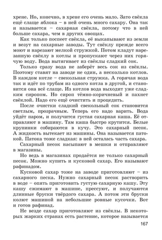 167
õðåíå. Íî, êîíå÷íî, â õðåíå åãî î÷åíü ìàëî. Çàòî ñâёêëà
åùё ñëàùå ÿáëîêà – â íåé î÷åíü ìíîãî ñàõàðó. Îíà òàê
è íàçûâàåòñÿ – ñàõàðíàÿ ñâёêëà, ïîòîìó ÷òî â íåé
áîëüøå ñàõàðà, ÷åì â äðóãèõ îâîùàõ.
Êàê òîëüêî ïîñïååò ñâёêëà, åё âûêàïûâàþò èç çåìëè
è âåçóò íà ñàõàðíûå çàâîäû. Òóò ñâёêëó ïðåæäå âñåãî
ìîþò è íàðåçàþò ìåëêîé ñòðóæêîé. Ïîòîì êëàäóò íàðå-
çàííóþ ñâёêëó â êîòëû è ïðîïóñêàþò ÷åðåç íèõ ãîðÿ-
÷óþ âîäó. Âîäà âûòÿãèâàåò èç ñâёêëû ñëàäêèé ñîê.
Òîëüêî ñðàçó âîäà íå çàáåðёò âåñü ñîê èç ñâёêëû.
Ïîýòîìó ñòàâÿò íà çàâîäå íå îäèí, à íåñêîëüêî êîòëîâ.
Â êàæäîì êîòëå – ñâåêîëüíàÿ ñòðóæêà. À ãîðÿ÷àÿ âîäà
òàê è èäёò ïî òðóáàì èç îäíîãî êîòëà â äðóãîé, è ñòàíî-
âèòñÿ îíà âñё ñëàùå. Èç êîòëîâ âîäà âûõîäèò óæå ñëàä-
êèì ñèðîïîì. Íî ñèðîï òёìíî-êîðè÷íåâûé è ïàõíåò
ñâёêëîé. Íàäî åãî åùё î÷èñòèòü è ïðîöåäèòü.
Ïîñëå î÷èñòêè ñëàäêèé ñâåêîëüíûé ñîê ñòàíîâèòñÿ
ñâåòëûì, ïðîçðà÷íûì. Òåïåðü åãî íàäî âàðèòü. Âîäà
óéäёò ïàðîì, è ïîëó÷èòñÿ ãóñòàÿ ñàõàðíàÿ êàøà. Åё îò-
ïðàâëÿþò â ìàøèíó. Òàì êàøà áûñòðî êðóòèòñÿ. Áåëûå
êðóïèíêè ñîáèðàþòñÿ â êó÷ó. Ýòî ñàõàðíûé ïåñîê.
À æèäêîñòü âûòåêàåò èç ìàøèíû. Îíà íàçûâàåòñÿ ïàòî-
êîé. Ïàòîêà òîæå ñëàäêàÿ: â íåé îñòàëàñü ÷àñòü ñàõàðà.
Ñàõàðíûé ïåñîê íàñûïàþò â ìåøêè è îòïðàâëÿþò
â ìàãàçèíû.
Íî âåäü â ìàãàçèíàõ ïðîäàёòñÿ íå òîëüêî ñàõàðíûé
ïåñîê. Ìîæíî êóïèòü è êóñêîâîé ñàõàð. Åãî íàçûâàþò
ðàôèíàäîì.
Êóñêîâîé ñàõàð òîæå íà çàâîäå ïðèãîòîâëÿþò – èç
ñàõàðíîãî ïåñêà. Íóæíî ñàõàðíûé ïåñîê ðàñòâîðèòü
â âîäå – îïÿòü ïðèãîòîâèòü ãóñòóþ ñàõàðíóþ êàøó. Ýòó
êàøó ñæèìàþò â ìàøèíå, ïðåññóþò, è ïîëó÷àþòñÿ
äëèííûå áðóñêè òâёðäîãî ñàõàðà. À ïîòîì ýòè áðóñêè
êîëþò ìàøèíîé íà íåáîëüøèå ðîâíûå êóñî÷êè. Âîò
è ãîòîâ ðàôèíàä.
Íå âåçäå ñàõàð ïðèãîòîâëÿþò èç ñâёêëû. Â íåêîòî-
ðûõ æàðêèõ ñòðàíàõ åñòü ðàñòåíèå, êîòîðîå íàçûâàåòñÿ
 