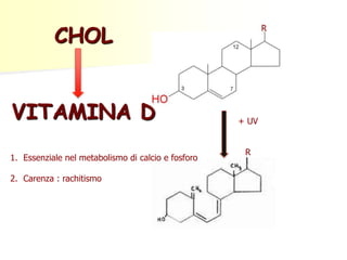 CHOL 
VITAMINA D 
1. Essenziale nel metabolismo di calcio e fosforo 
2. Carenza : rachitismo 
+ UV 
R 
R 
 