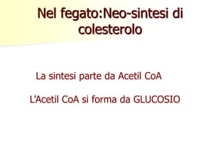 Nel fegato:Neo-sintesi di 
colesterolo 
La sintesi parte da Acetil CoA 
L’Acetil CoA si forma da GLUCOSIO 
 