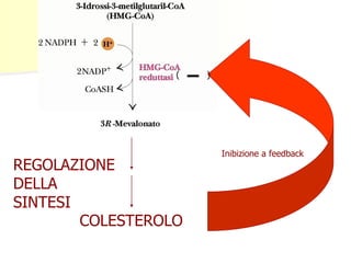 ( ) 
COLESTEROLO 
Inibizione a feedback 
REGOLAZIONE 
DELLA 
SINTESI 
 