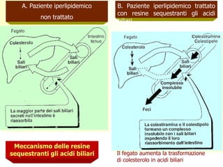 Meccanismo delle resine 
sequestranti gli acidi biliari 
B. Paziente iperlipidemico trattato 
con resine sequestranti gli acidi 
biliari 
A. Paziente iperlipidemico 
non trattato 
Il fegato aumenta la trasformazione 
di colesterolo in acidi biliari 
 