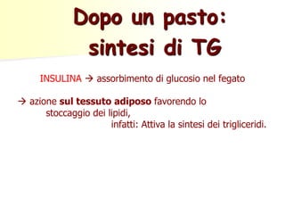 Dopo un pasto: 
sintesi di TG 
INSULINA  assorbimento di glucosio nel fegato 
 azione sul tessuto adiposo favorendo lo 
stoccaggio dei lipidi, 
infatti: Attiva la sintesi dei trigliceridi. 
 