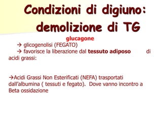 Condizioni di digiuno: 
demolizione di TG 
glucagone 
 glicogenolisi (FEGATO) 
 favorisce la liberazione dal tessuto adiposo di 
acidi grassi: 
Acidi Grassi Non Esterificati (NEFA) trasportati 
dall’albumina ( tessuti e fegato). Dove vanno incontro a 
Beta ossidazione 
 