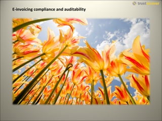 E-invoicing compliance and auditability 
