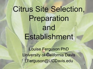 Citrus Site Selection,
Preparation
and
Establishment
Louise Ferguson PhD
University of California Davis
LFerguson@UCDavis.edu
1
 