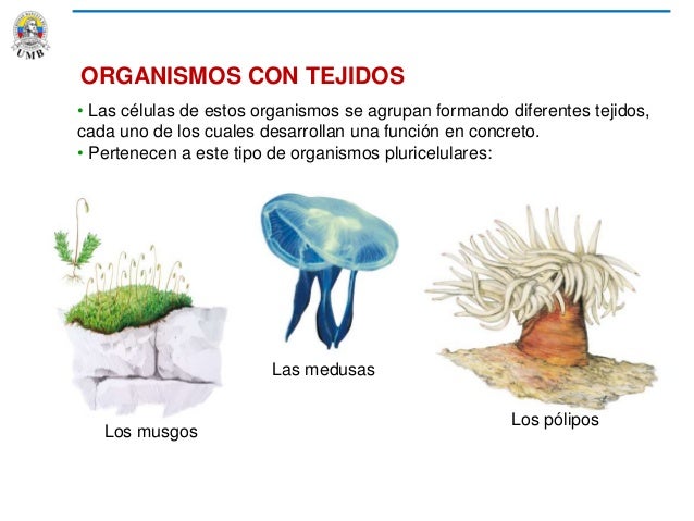 TECNO APRENDER CIENCIAS 4°