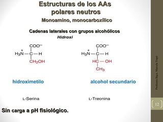 Estructuras de los AAs
                   polares neutros
                Monoamino, monocarboxílico

           Cadenas laterales con grupos alcohólicos




                                                           Profesora Bqca. Marcela Trapé
    hidroximetilo                     alcohol secundario



                                                           12
Sin carga a pH fisiológico.
 