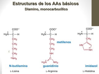 Estructuras de los AAs básicos
          Diamino, monocarboxílico




                                             Profesora Bqca. Marcela Trapé
                            metilenos


ε


                                             14
N-butilamina        guanidinio          imidazol
 