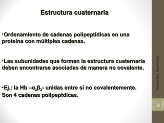 Estructura cuaternaria


•Ordenamiento de cadenas polipeptídicas en una
proteína con múltiples cadenas.




                                                        Profesora Bqca. Marcela Trapé
•Las subunidades que forman la estructura cuaternaria
deben encontrarse asociadas de manera no covalente.


•Ej.: la Hb –α2β2- unidas entre sí no covalentemente.
 Ej.:
Son 4 cadenas polipeptdícas.
                                                        26
 