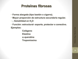 Proteínas fibrosas

• Forma alargada (tipo bastón o cigarro).
• Mayor proporción de estructura secundaria regular.
• ↓ Solubilidad en H2O
• Función: estructural- soporte, protector o conectivo.
Ejemplos:




                                                          Profesora Bqca. Marcela Trapé
           Colágeno
           Elastina
           α-queratina
           Tropomiosina



                                                          28
 