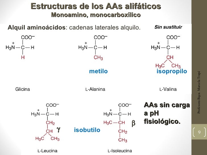 aminoacidos con cadenas alifaticas 4 176 clase prote 237 nas i aminoacidos con cadenas alifaticas 4 176 clase prote 237 nas i