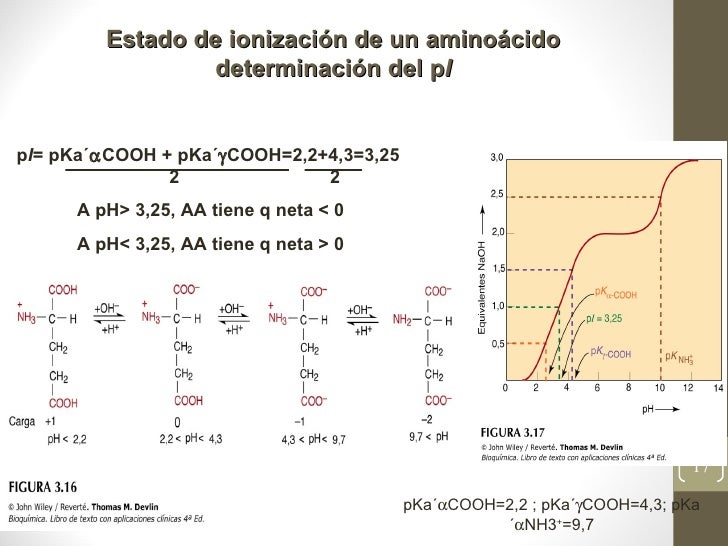 4° clase proteínas i 4° clase proteínas i