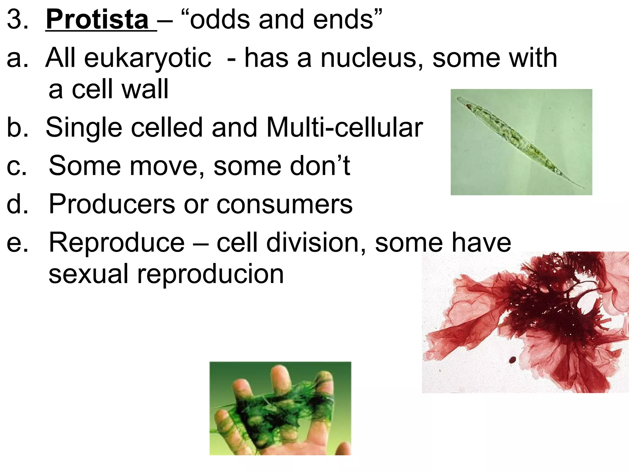 3. Protista – “odds and ends”
a. All eukaryotic - has a nucleus, some with
a cell wall
b. Single celled and Multi-cellular
c. Some move, some don’t
d. Producers or consumers
e. Reproduce – cell division, some have
sexual reproducion

 