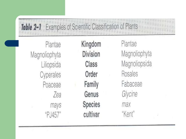 4 Classification of Crop Plants.pptClassification of Crop Plants | PPT