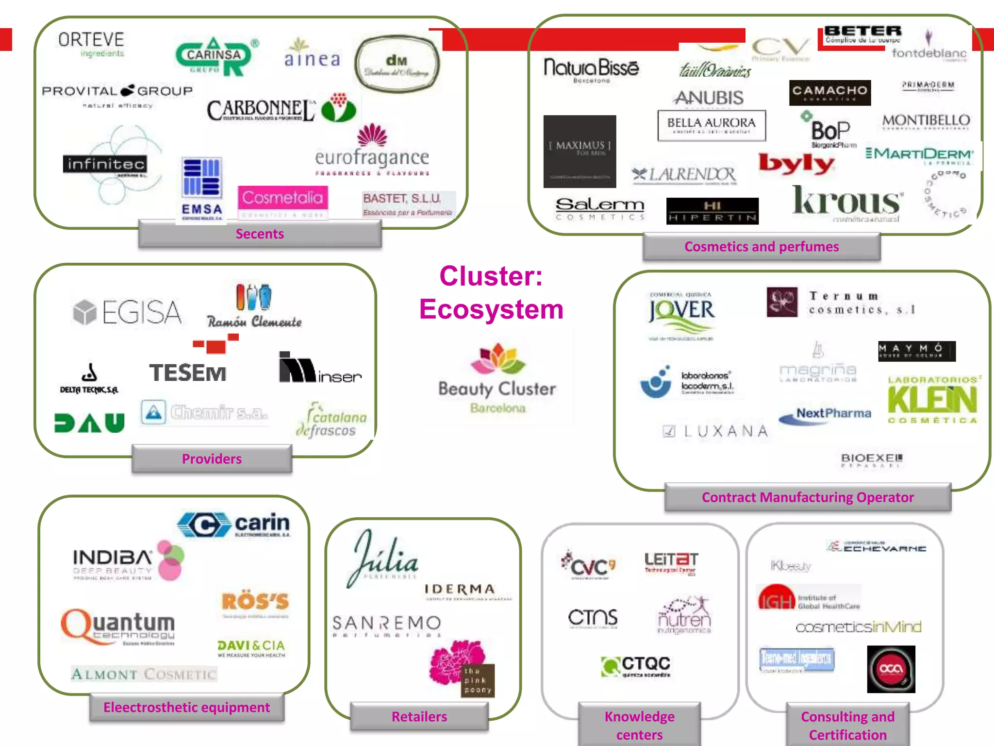 Retailers
Contract Manufacturing Operator
Eleectrosthetic equipment
Secents
Providers
Cosmetics and perfumes
Knowledge
centers
Consulting and
Certification
Cluster:
Ecosystem
 