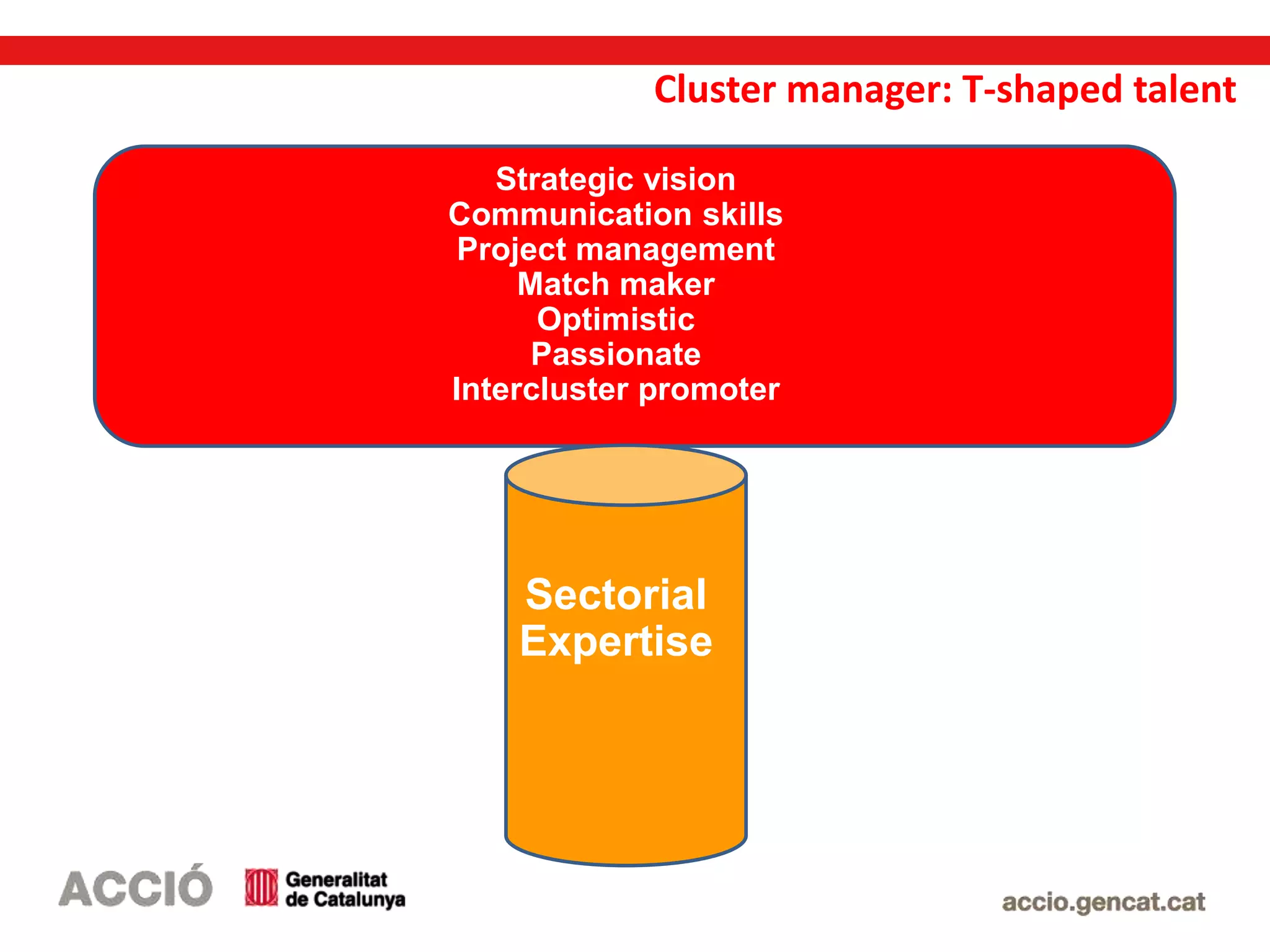 Cluster manager: T-shaped talent
Strategic vision
Communication skills
Project management
Match maker
Optimistic
Passionate
Intercluster promoter
Sectorial
Expertise
 
