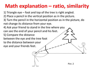 Math explanation – ratio, similarity
Pict. 2
1) Triangle eye – foot and top of the tree is right angled.
2) Place a pencil in the vertical position as in the picture.
3) Turn the pencil in the horizontal position as in the picture, do
not change its distance from your eye.
4) Ask your friend to stand in the line where you
can see the end of your pencil and his feet.
5) Compare the distance
between the eye and the tree foot
to the distance between your
eye and your friends feet.
 