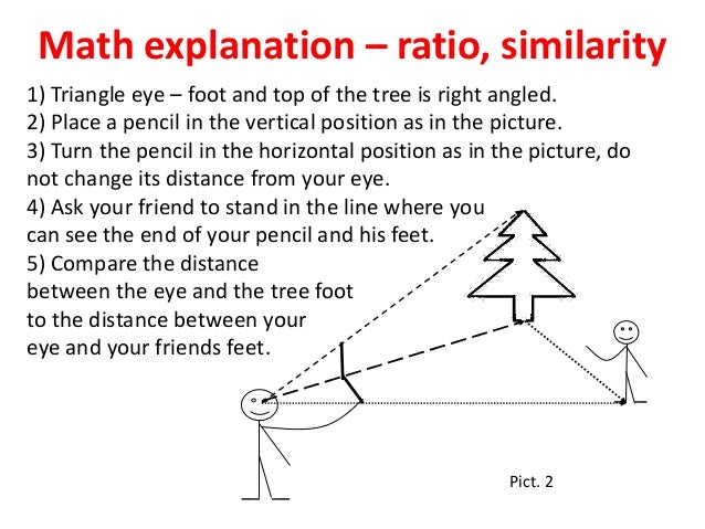 4c Math In Science What Can We Do