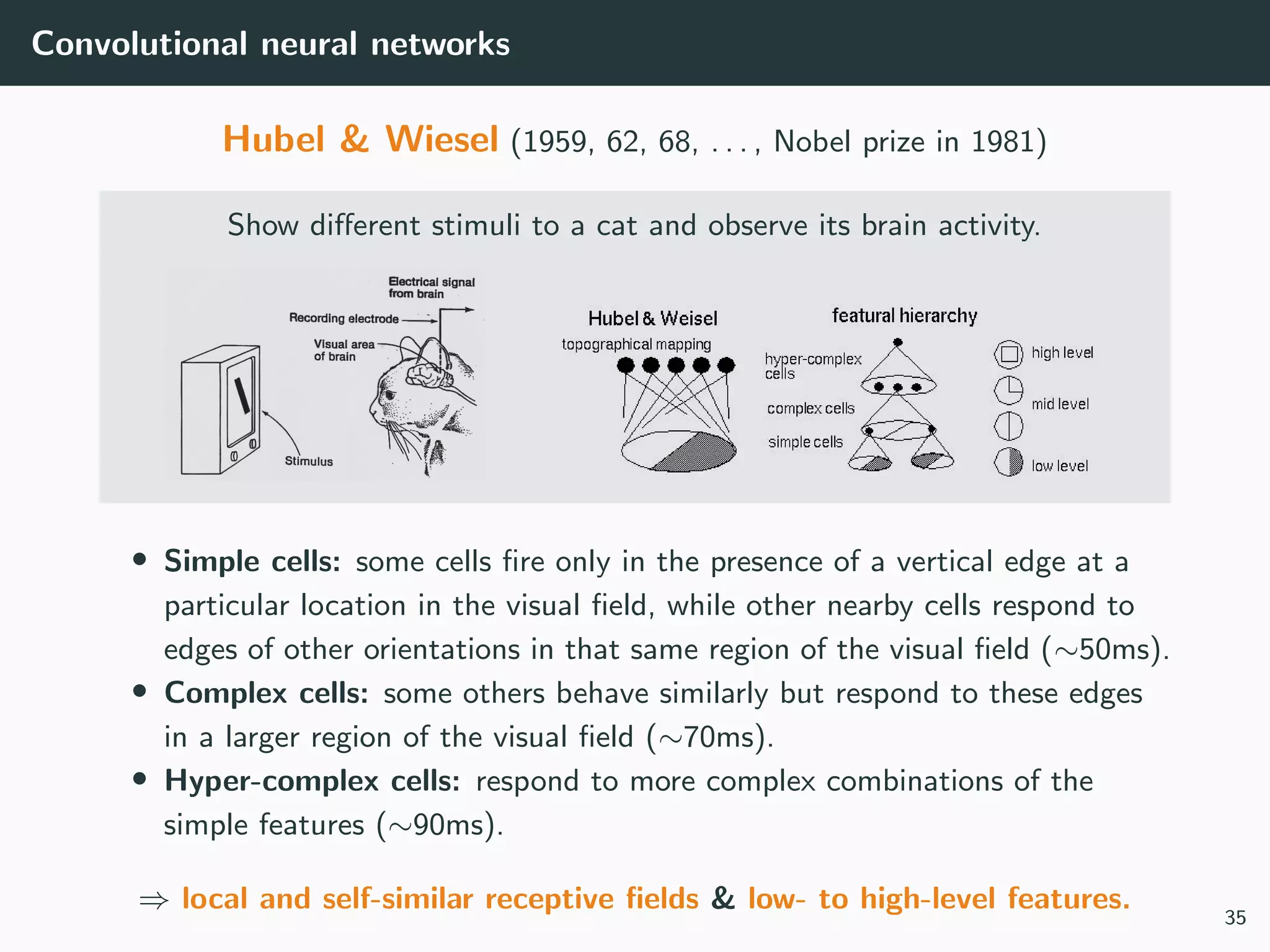 Convolutional neural networks
Hubel & Wiesel (1959, 62, 68, . . . , Nobel prize in 1981)
Show diﬀerent stimuli to a cat and observe its brain activity.
• Simple cells: some cells ﬁre only in the presence of a vertical edge at a
particular location in the visual ﬁeld, while other nearby cells respond to
edges of other orientations in that same region of the visual ﬁeld (∼50ms).
• Complex cells: some others behave similarly but respond to these edges
in a larger region of the visual ﬁeld (∼70ms).
• Hyper-complex cells: respond to more complex combinations of the
simple features (∼90ms).
⇒ local and self-similar receptive ﬁelds & low- to high-level features.
35
 