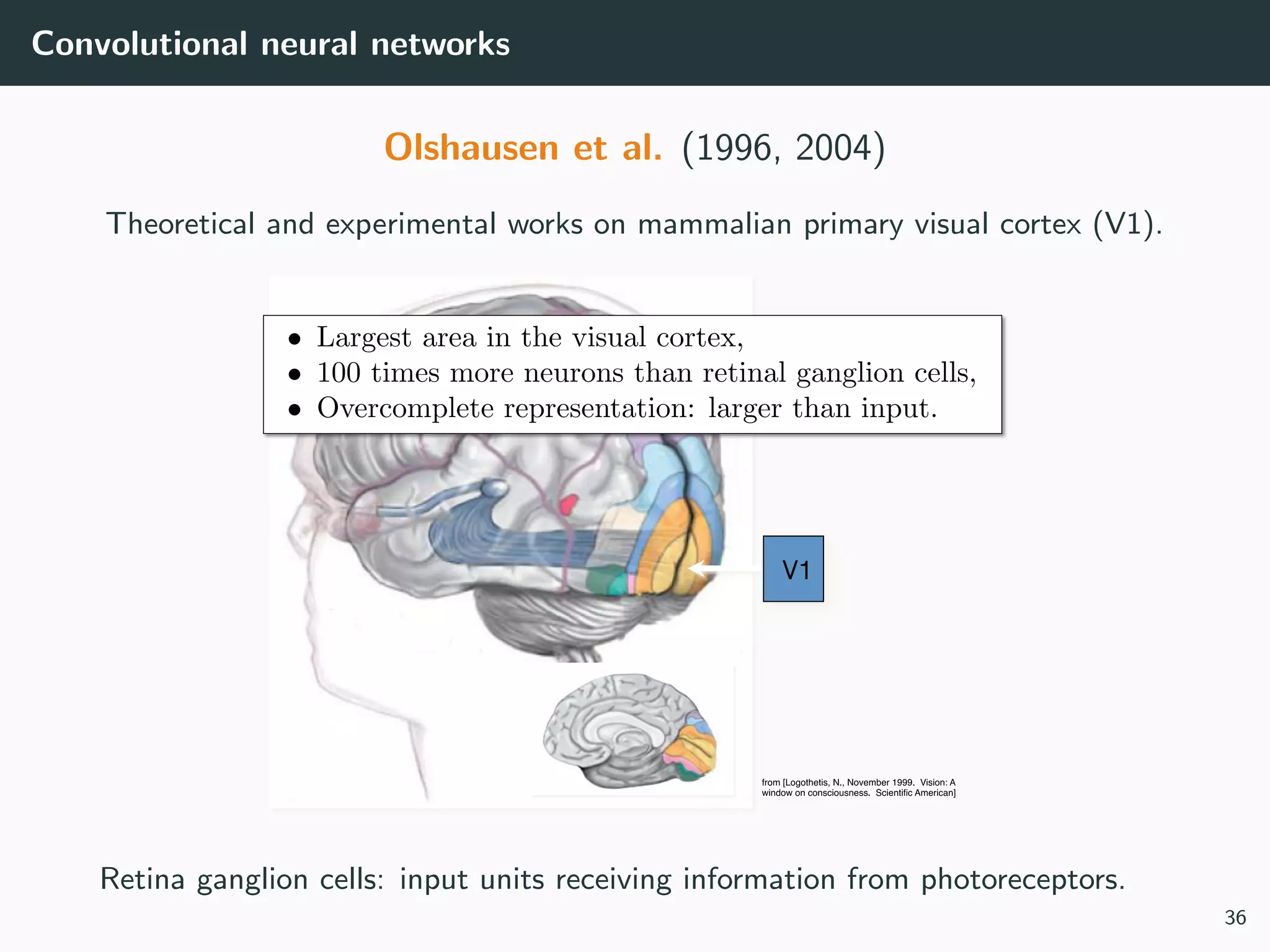 Convolutional neural networks
Olshausen et al. (1996, 2004)
Theoretical and experimental works on mammalian primary visual cortex (V1).
Retina ganglion cells: input units receiving information from photoreceptors.
36
 