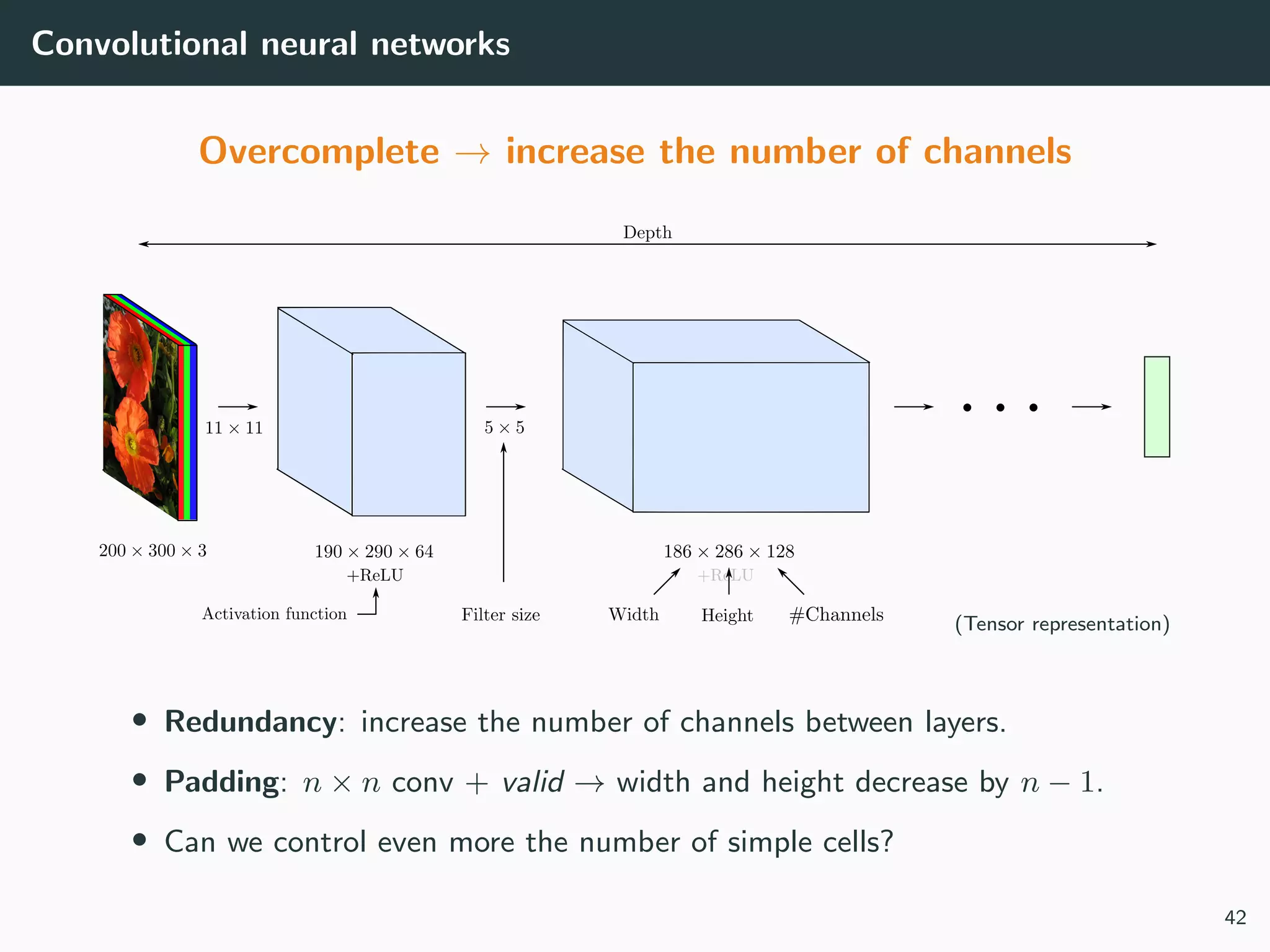 Convolutional neural networks
Overcomplete → increase the number of channels
(Tensor representation)
• Redundancy: increase the number of channels between layers.
• Padding: n × n conv + valid → width and height decrease by n − 1.
• Can we control even more the number of simple cells?
42
 