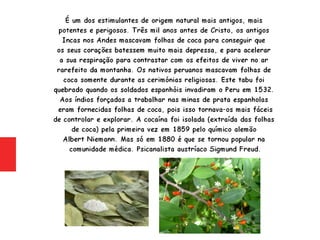 Psiquiatria - Cocaína (Coca, pó, branquinha)