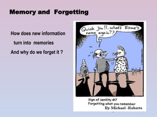 Psychology and Counselling COGNITION-MEMORY & FORGETTING.ppt